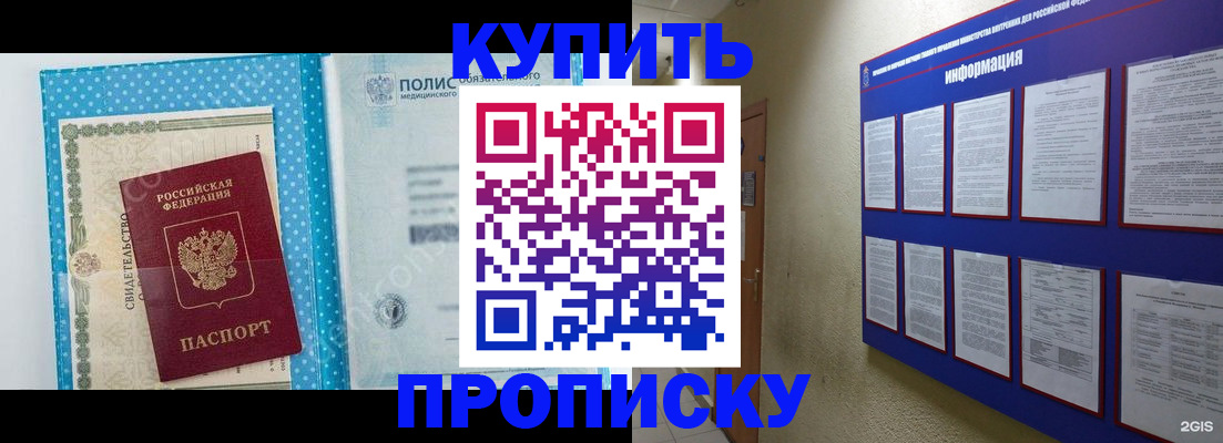 временная регистрация для всех в Амурской области